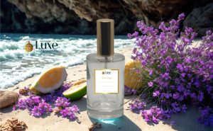 Vivid Depth Fragrance