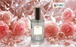Wild Romance Fragrance